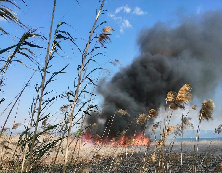 İznik’teki çöplük yangını korkuttu