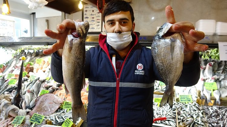 Vatandaş yesin diye fiyatları yarıya indirdi