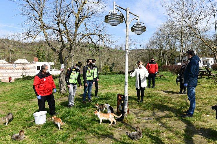 Mustafakemalpaşa’da sokak hayvanları unutulmadı