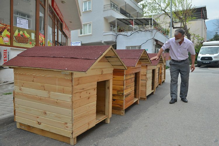 Sokak hayvanları için 5 kedi evi yaptı, belediyeye teslim etti