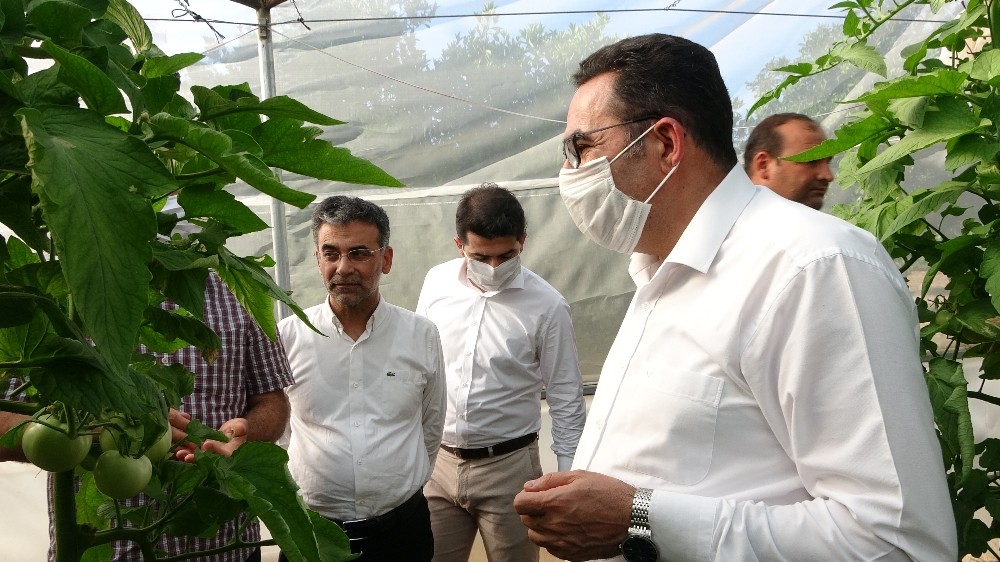 Ak Parti̇li̇ Doğru: “Avrupayı Besleyeceği̇z”