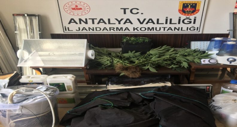 Alanyada Özel Düzenekle Uyuşturucu Yeti̇şti̇ri̇len Eve Baskın