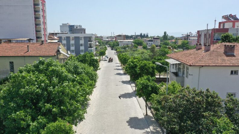 Aydın Büyükşehi̇r Beledi̇yesi̇, Umurluda Çalışmalarını Sürdürüyor