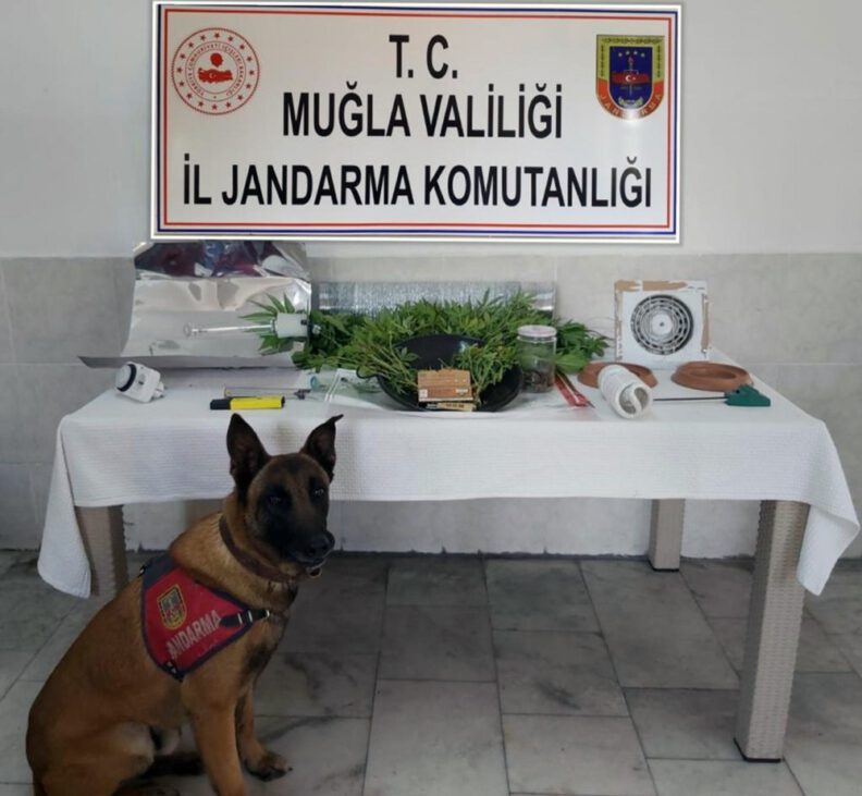 Dalyanda Uyuşturucu İmalathanesi̇ne Operasyon