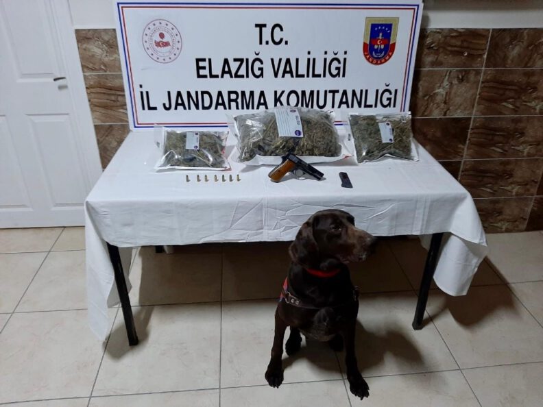 Elazığda Uyuşturucu Operasyonu:2 Gözaltı