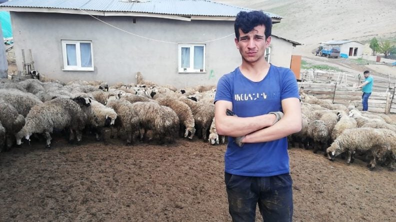Erzi̇ncanda 80E Yakın Kuzu Ahırdan Çalındı