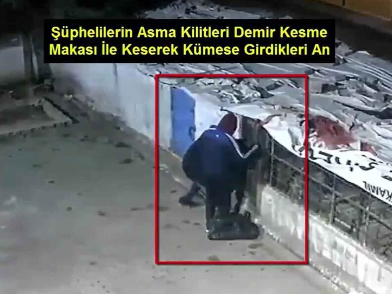 Güverci̇n Hırsızları Kameralara Yakalandı