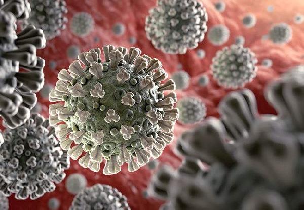 Koronavirüs hakkında çıkan haber sayısı 20 milyona yaklaştı