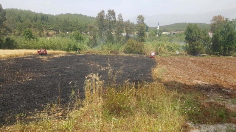 Seydi̇kemerde 4 Dönüm Buğday Yandı