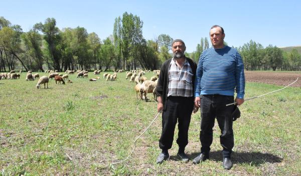 Sivaslı çiftçilerden çoraplı kene önlemi