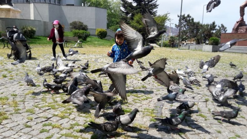 Zonguldakta mi̇ni̇kler parklara akın etti̇