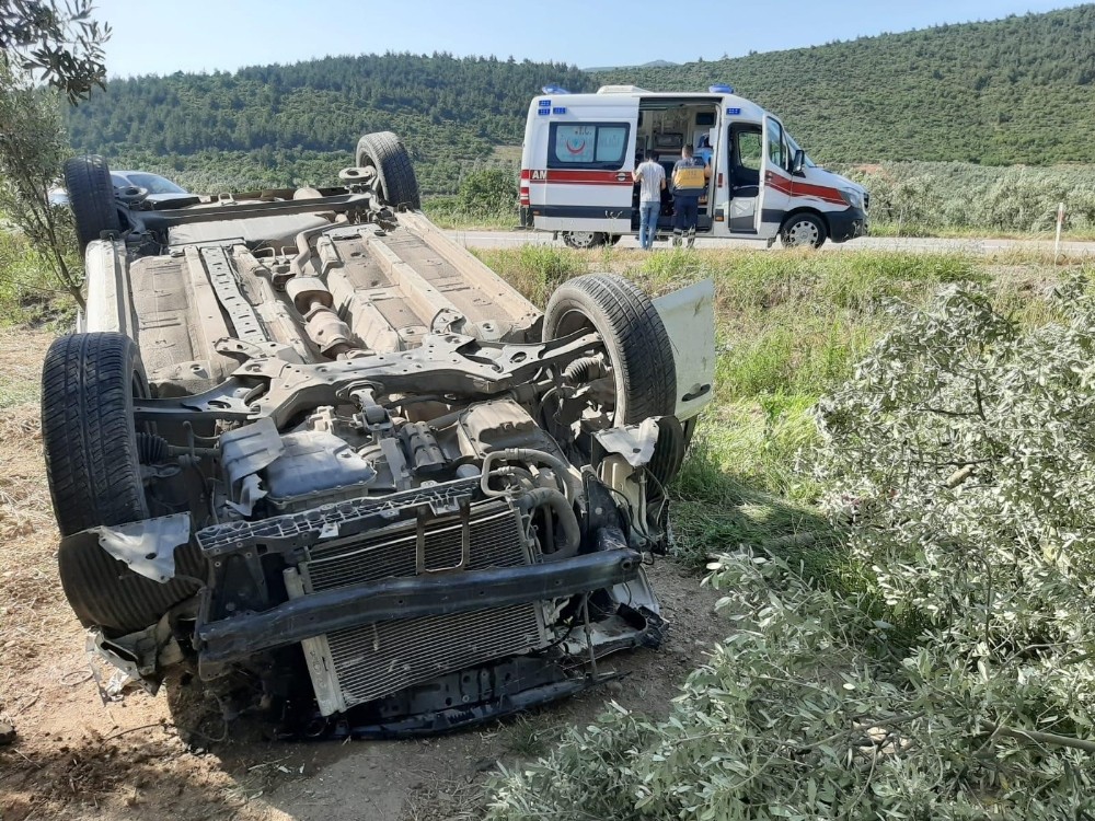 Bursa’da kaza: Zeytinliğe uçtu