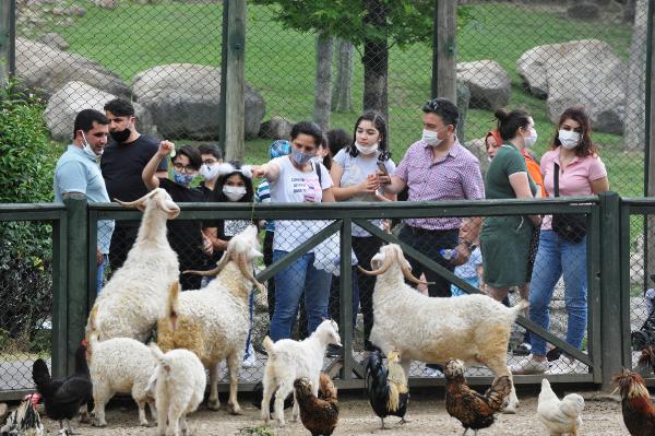 Bursa hayvanat bahçesinde hafta sonu yoğunluğu