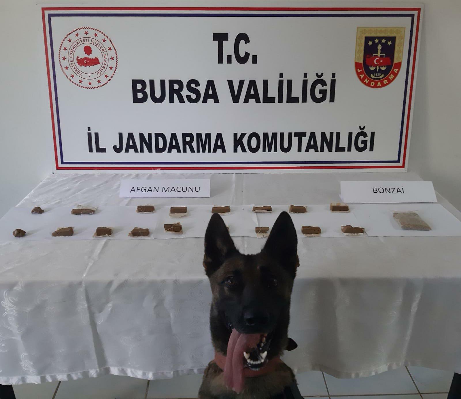 Bursa’da evinde 635 gram uyuşturucuyla yakalandı