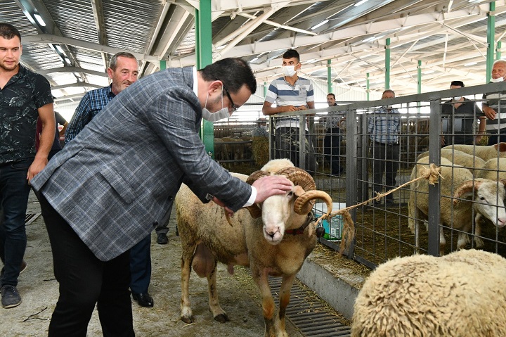 Başkan Kanar hayvan pazarını ziyaret etti