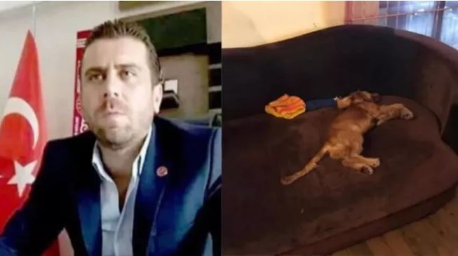 Köpeğe tecavüz ederek öldürmüştü! Hakkında karar verildi