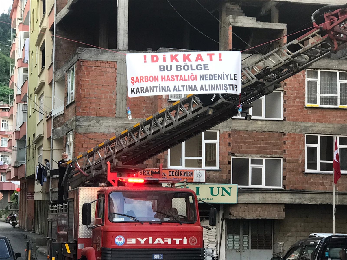 Trabzon’da şarbon karantinası