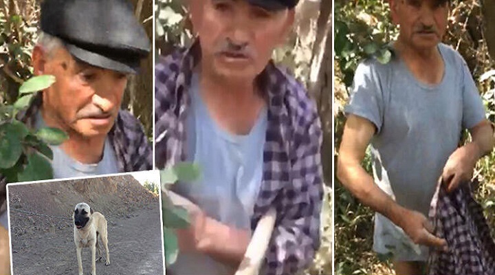 75 yaşındaki adam, köpeğe tecavüz ederken yakalandı