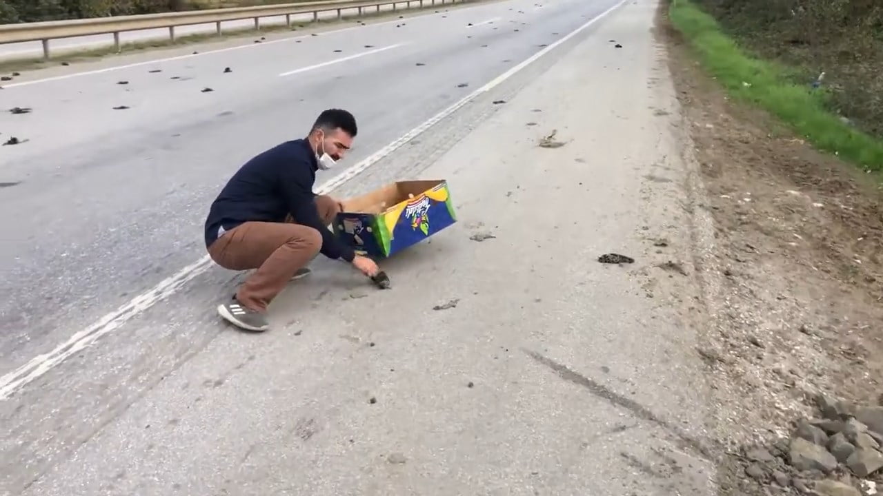 Onlarcası karayoluna saçıldı, soruşturma başlatıldı