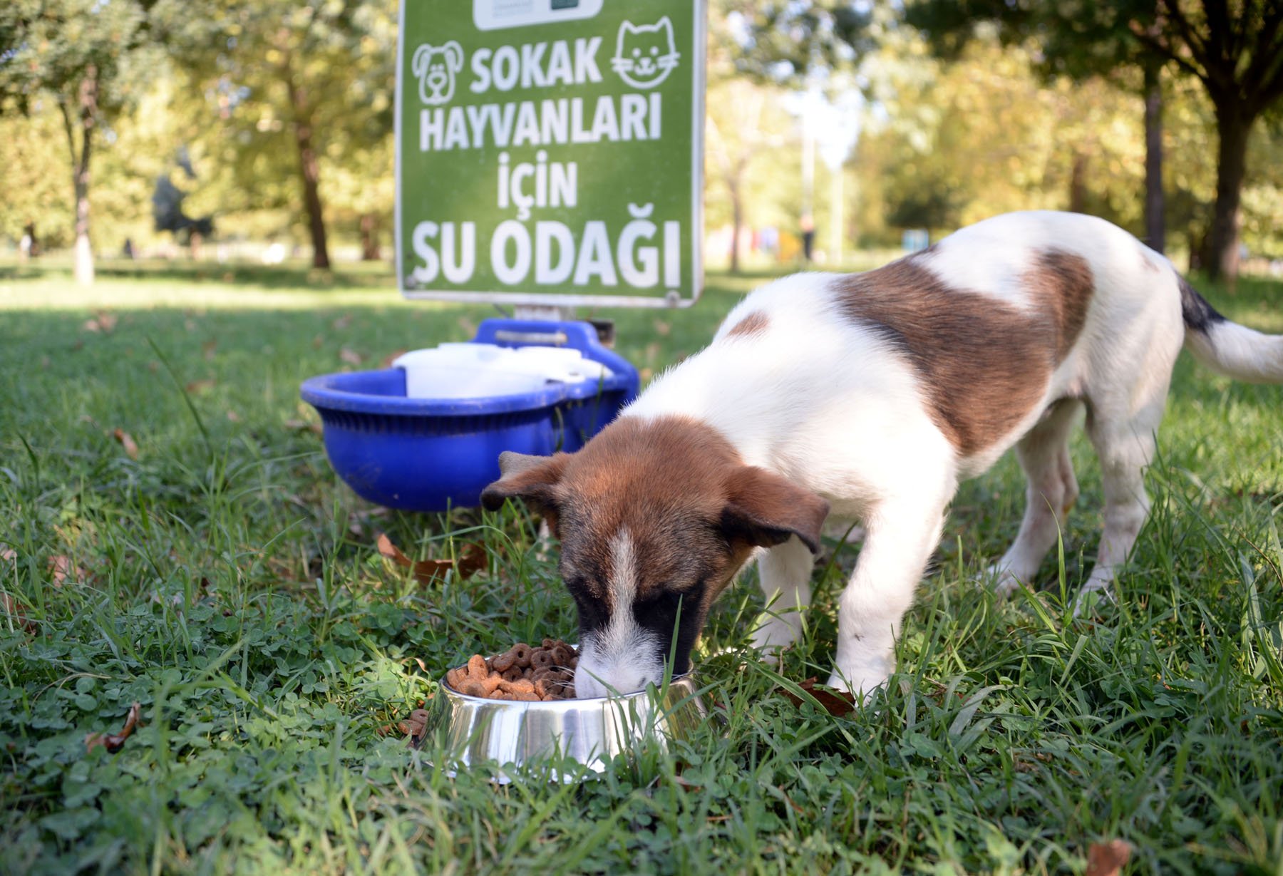 Osmangazi’de can dostlar güvenli ellerde