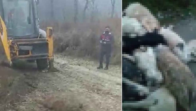 Bursa’da kahreden görüntü! Ormanlık alanda bulundular