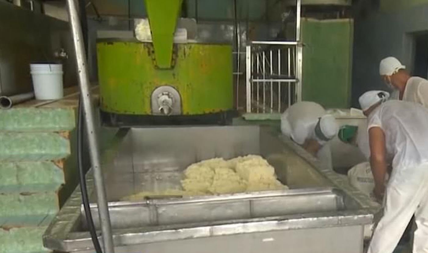 Küba’da devlete ait fabrikadan 1300 kilo peynir çalan işçilere gözaltı