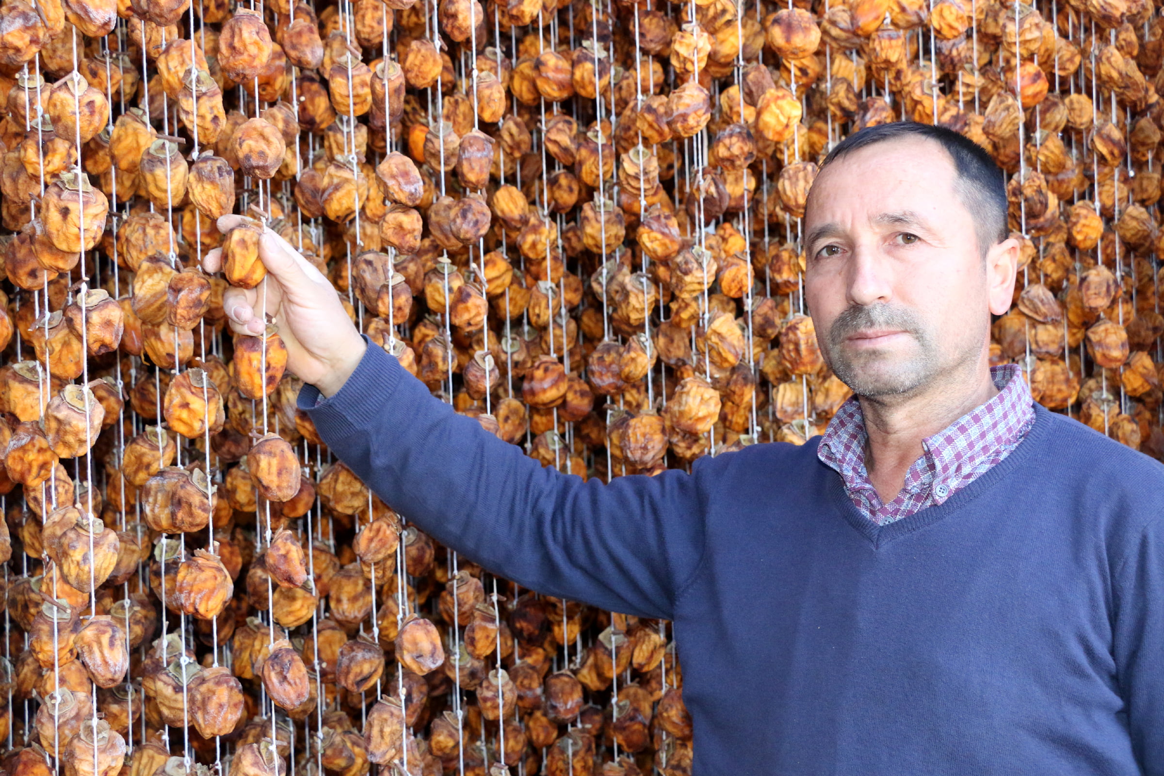 Adana’da 80 ton hurmayı kurutup, satıyor