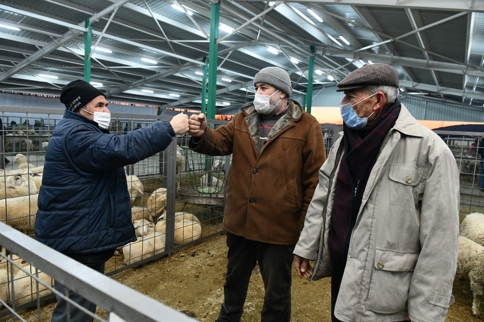 Güney Marmara’nın en büyük canlı hayvan pazarında yüzler gülüyor