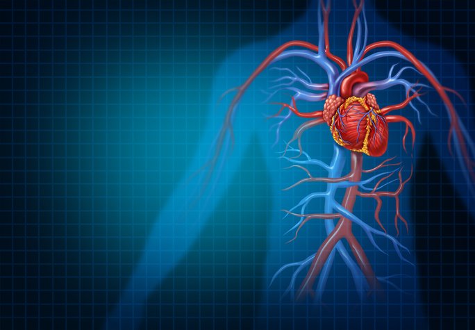“Lupus hastalığı kalp krizine ve ani ölümlere yol açabilir”
