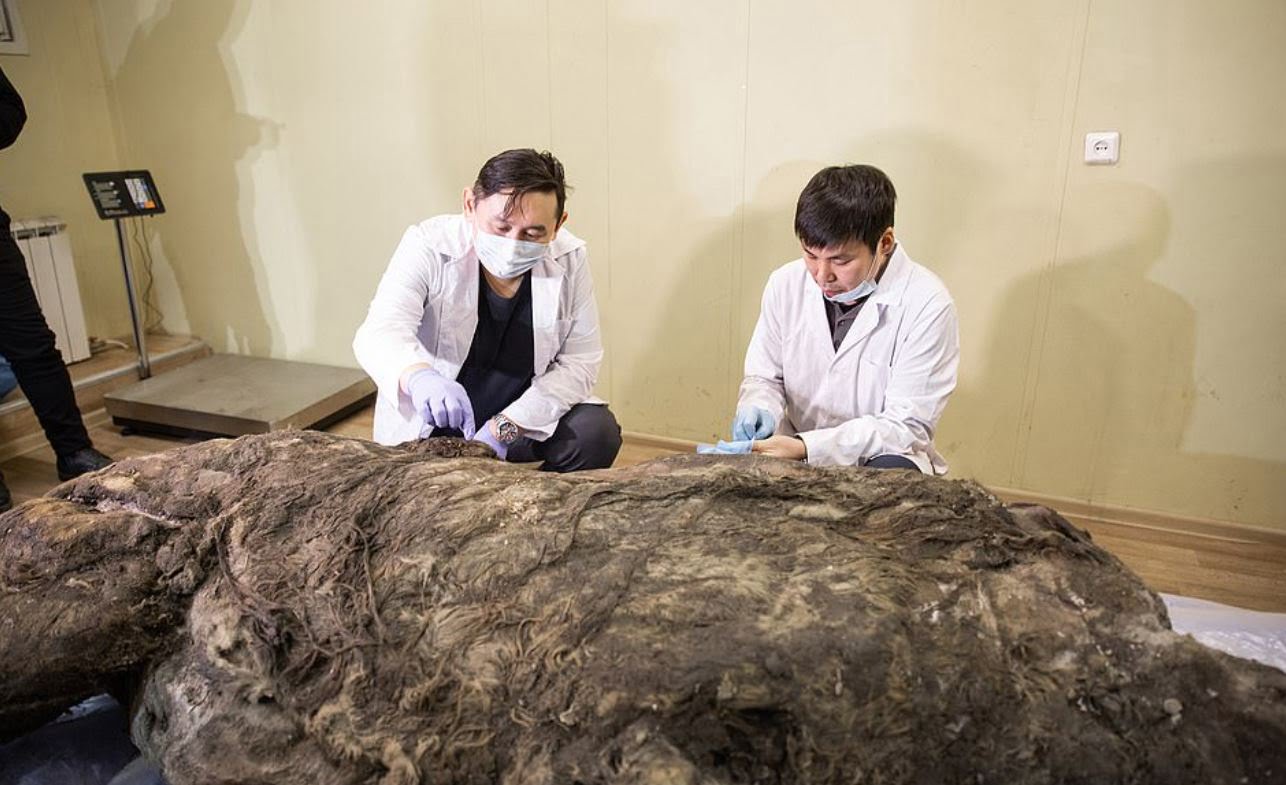 40 bin yıldır bozulmadan keşfedildi
