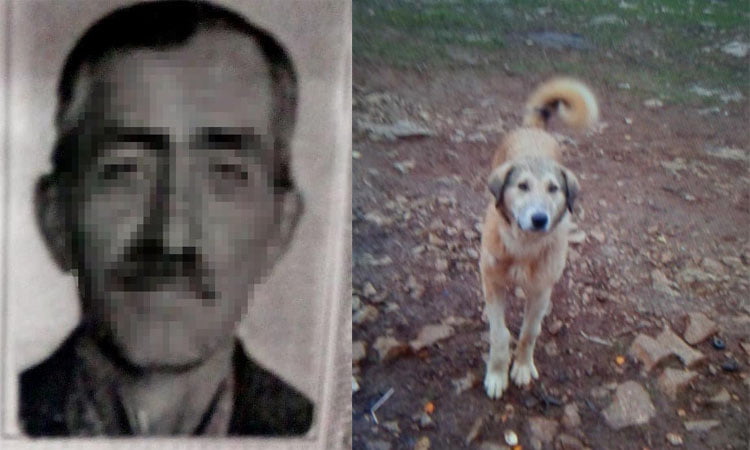 Fazla ekmek yiyor diye köpeğini öldürdü
