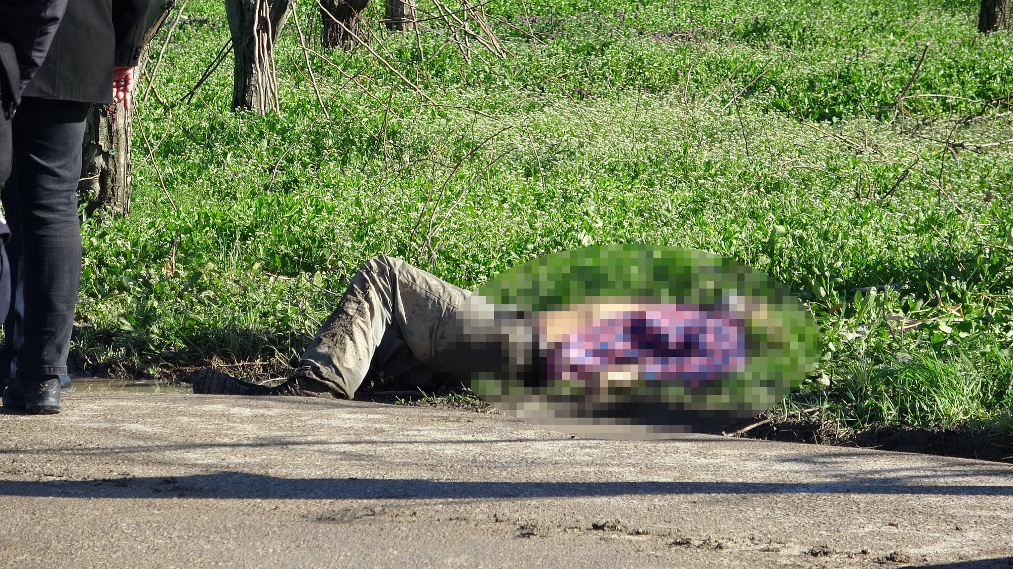 Bursa’da yol kenarındaki cinayetin nedeni belli oldu