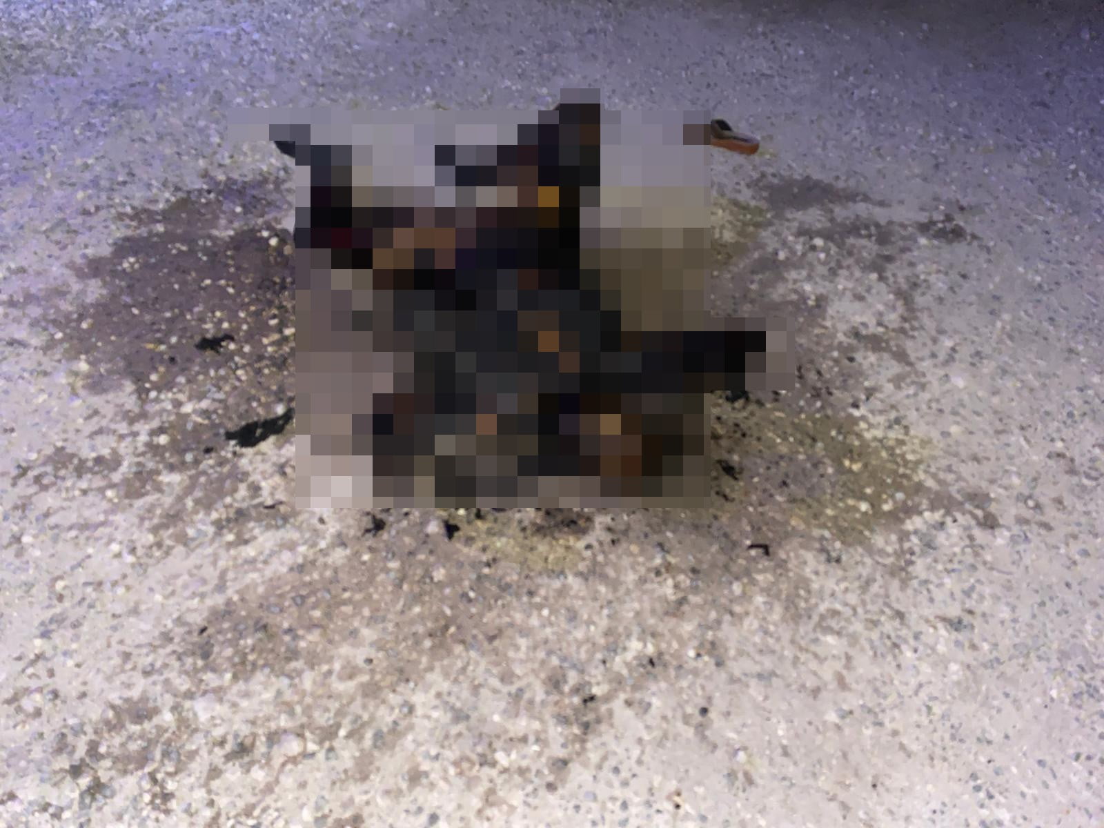 Şanlıurfa’da yanmış kadın cesedi bulundu