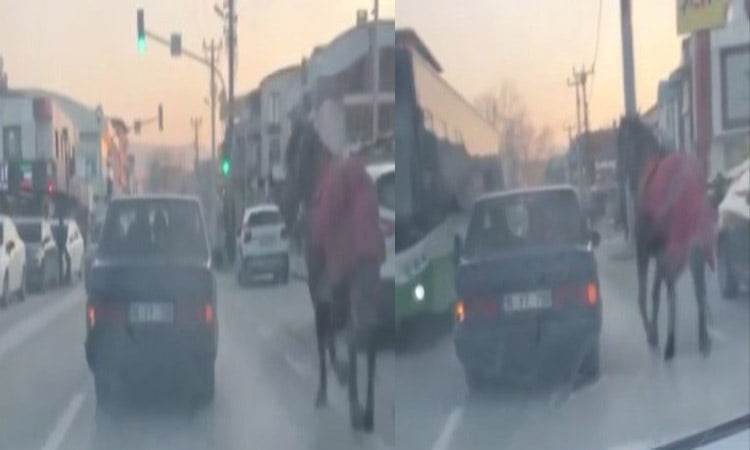 Bursa’da aracına at bağlayıp caddelerde koşturdu