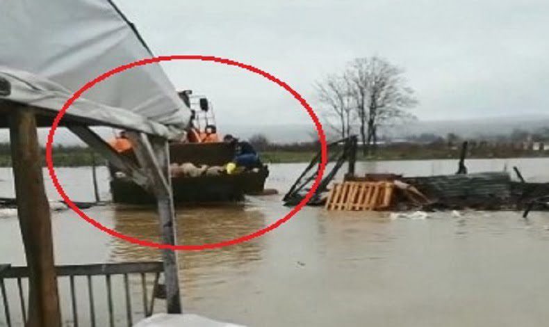 Çiftliği su bastı, kuzular iş makinesiyle kurtarıldı