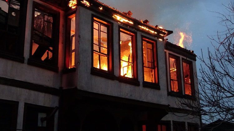 Bursa’da korkutan yangın! Çok sayıda kedi yanarak öldü