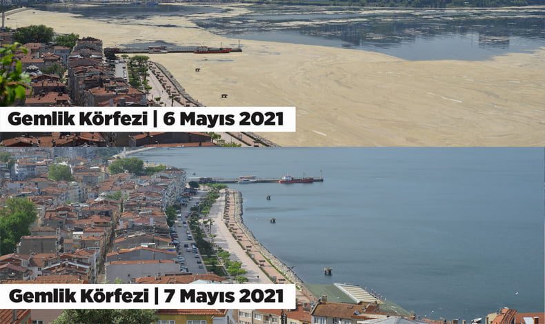 Gemlik Körfezi eski görüntüsüne dönüyor