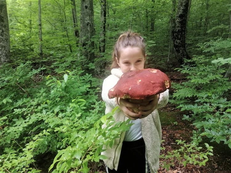 Bir günde 20 kilo topluyorlar