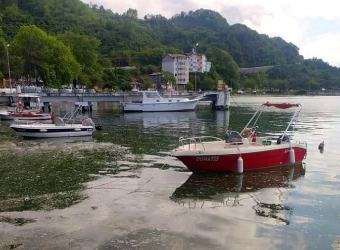Deniz salyası Karadeniz’e de sıçradı