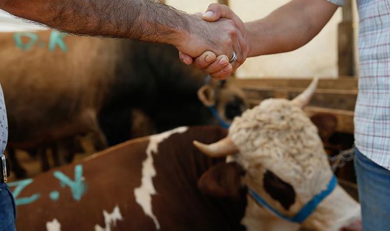 Kurban Bayramı tarihi ne zaman? 2021 Kurban Bayramı tatili kaç gün olacak?