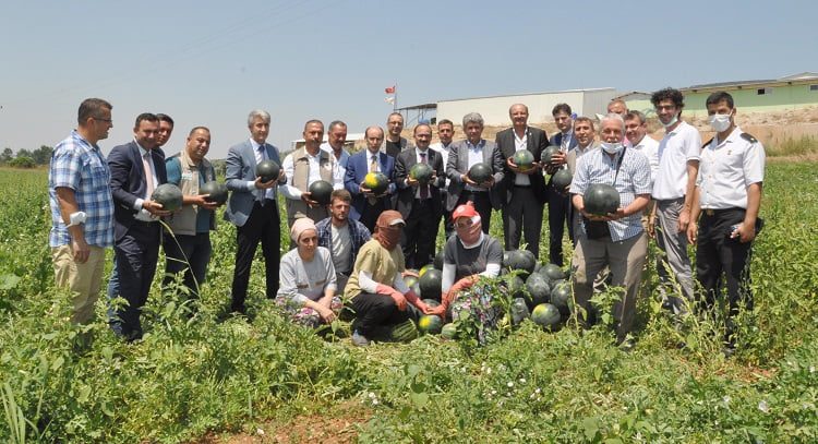 Bursa Karacabey’de karpuz şenliği