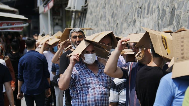 Fiyatı duyan sıraya girdi! Günde 2 ton satılıyor