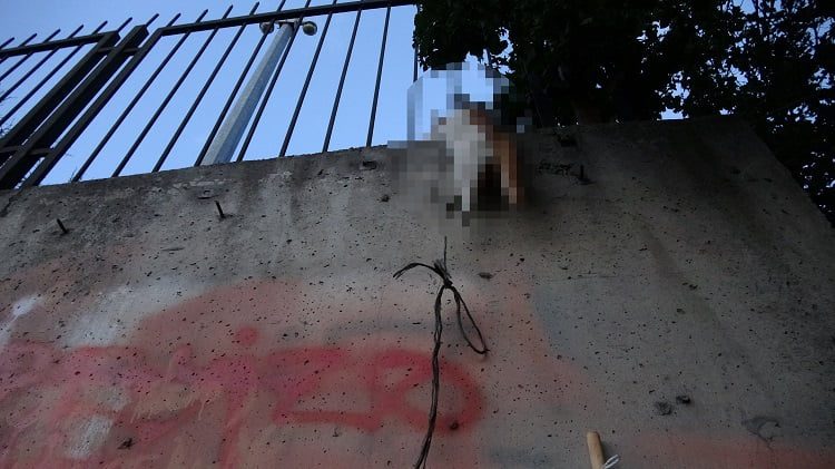 İstanbul’da vahşet! Boğazına ip bağlayıp asarak öldürdüler