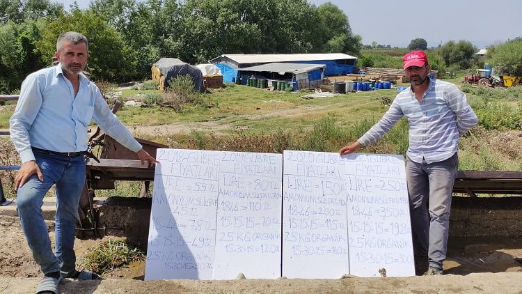 Giderlerini kalem kalem yazdılar ama… “Domates sadece tarlada ucuz”