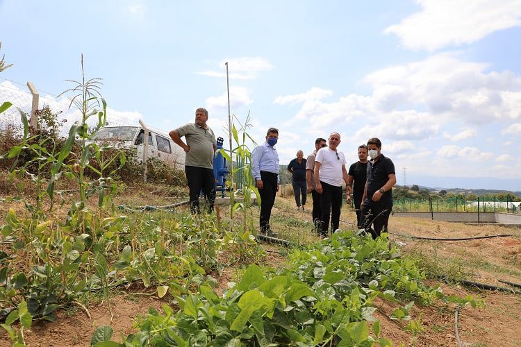 Gemlik Belediyesi ikinci serayı kuruyor