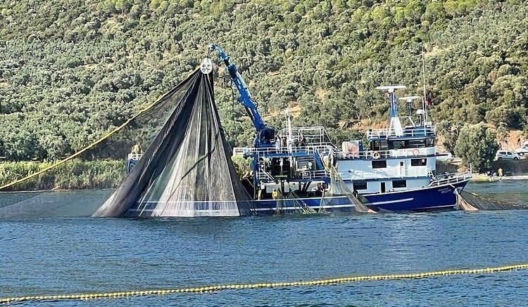 Bursa’da denize deneme ağları atıldı