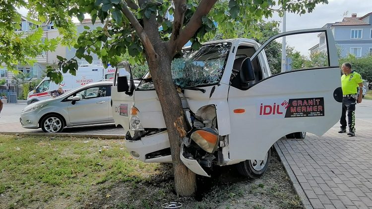 Kasiste kontrolden çıktı ağaca çarparak durabildi