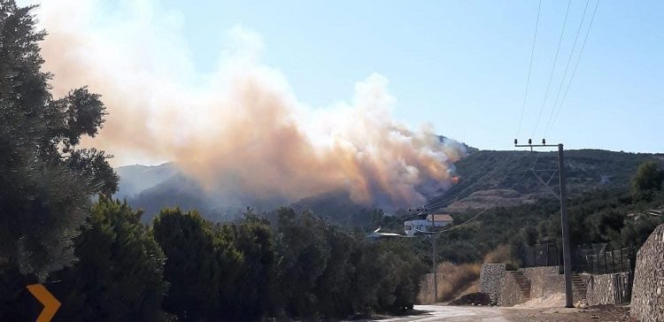 Bursa’da 2 ayrı noktada orman yangını