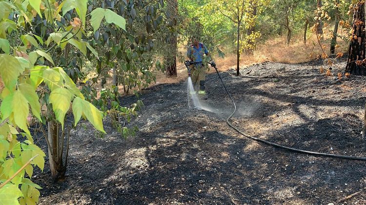Bursa’da hızlı müdahale ormanı kül olmaktan kurtardı