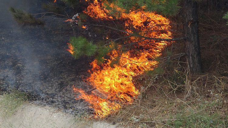 Bursa Mudanya Kavşağı’nda korkutan yangın